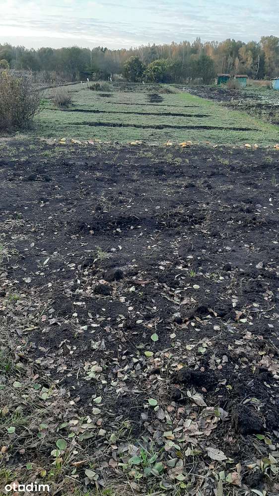 Дві доглянуті земельні ділянки для сільського господарства без комісії - Повне зображення: 4/10