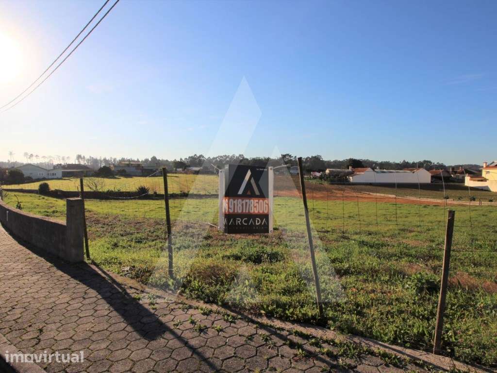 Lote para construção de moradias na Carregosa - Grande imagem: 5/8