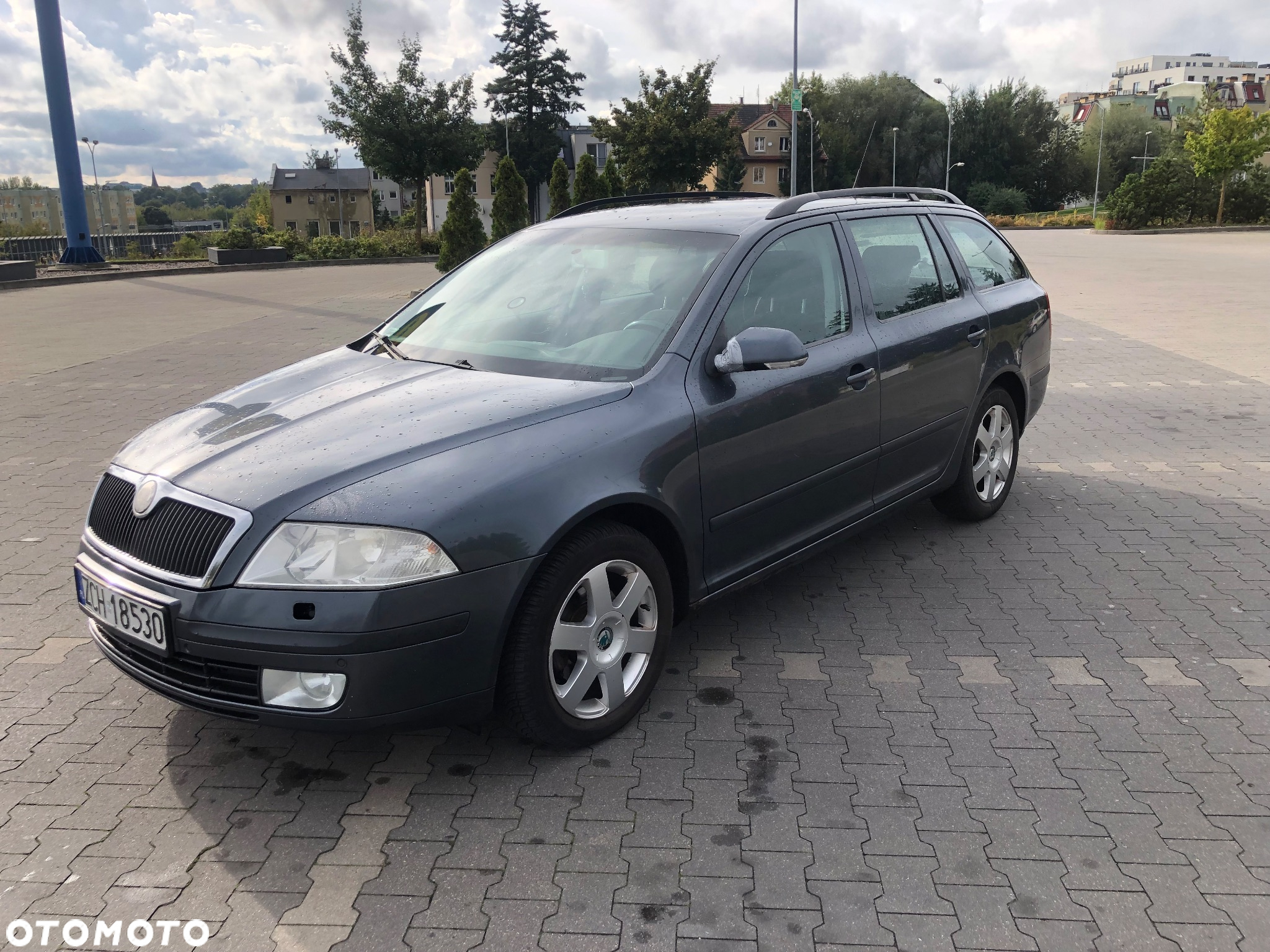 Skoda Octavia 1.9 TDI Elegance - 2