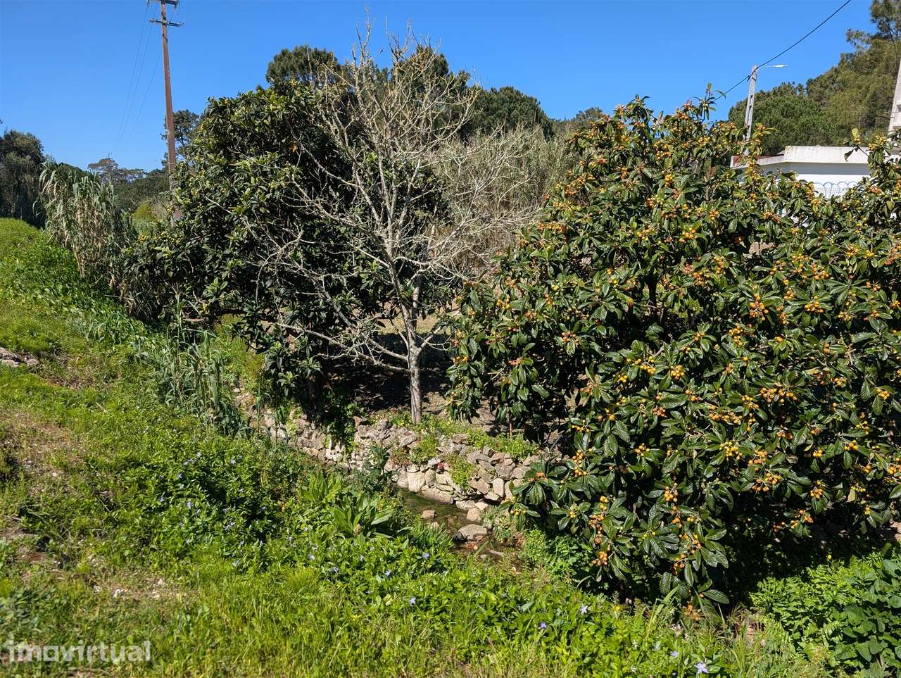 Terreno urbano em Sintra - Grande imagem: 3/19