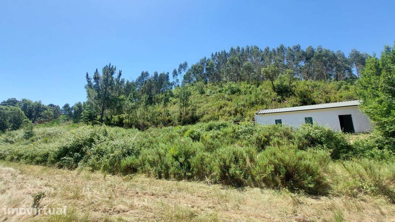 Casa de Campo | Terreno | Alferce | Monchique - Grande imagem: 3/35