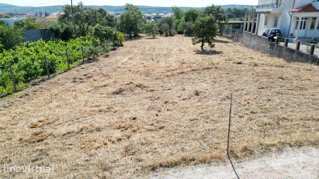 Terreno para construção em Avelar - Grande imagem: 2/22