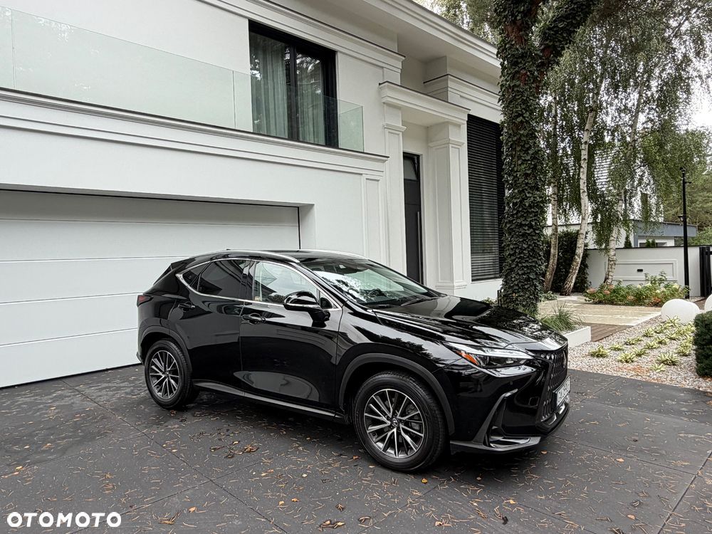 Lexus NX 350h Business AWD - 5