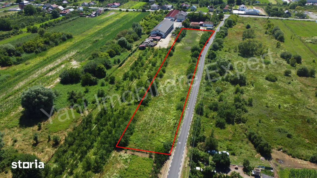 Teren de vânzare în comuna Băiculești, județ Argeș. - Imagine principală: 5/9