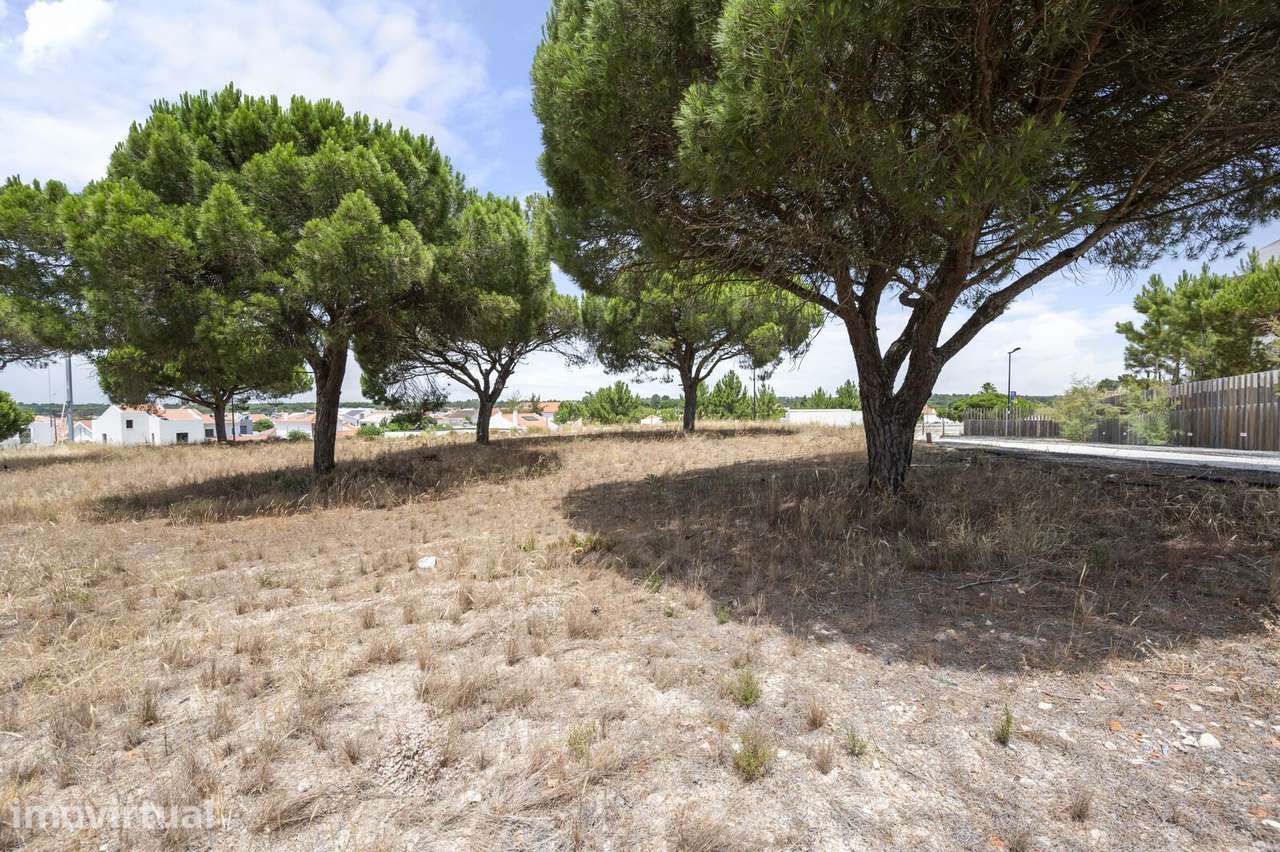 Lote 997 m2, Carvalhal, Grandola - Grande imagem: 5/18