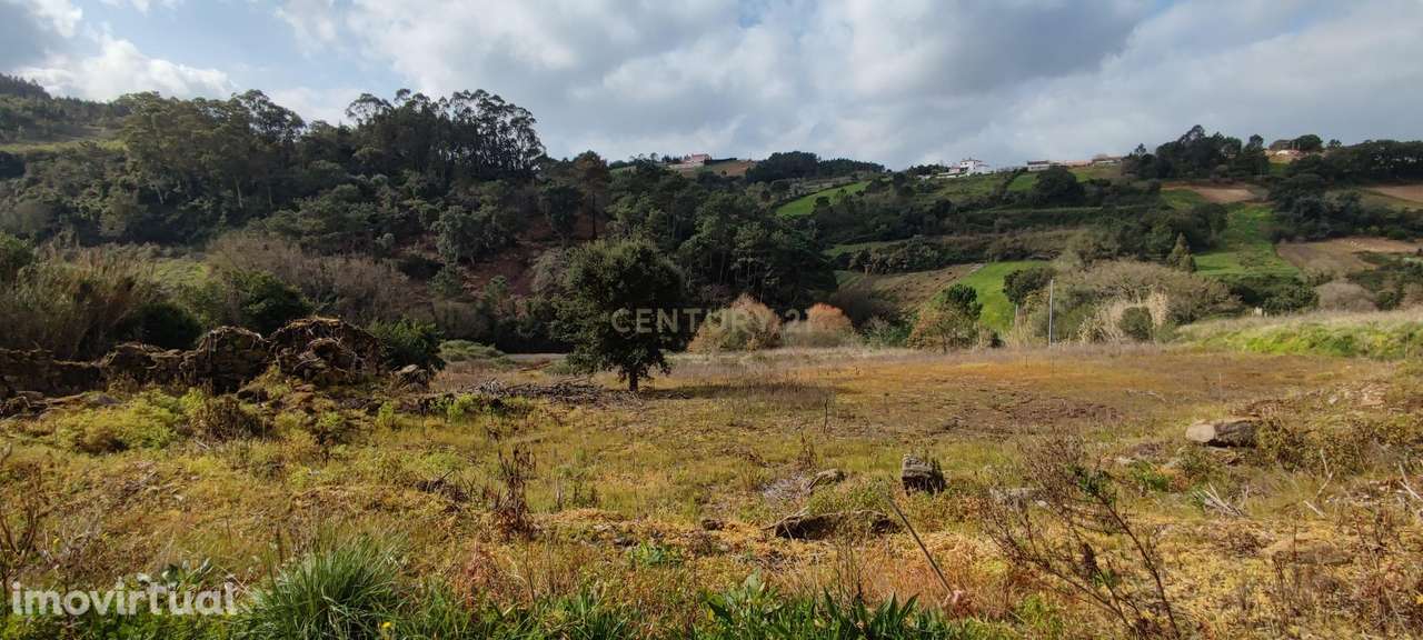 Terreno com ruina inserido no meio da Natureza - Grande imagem: 2/20