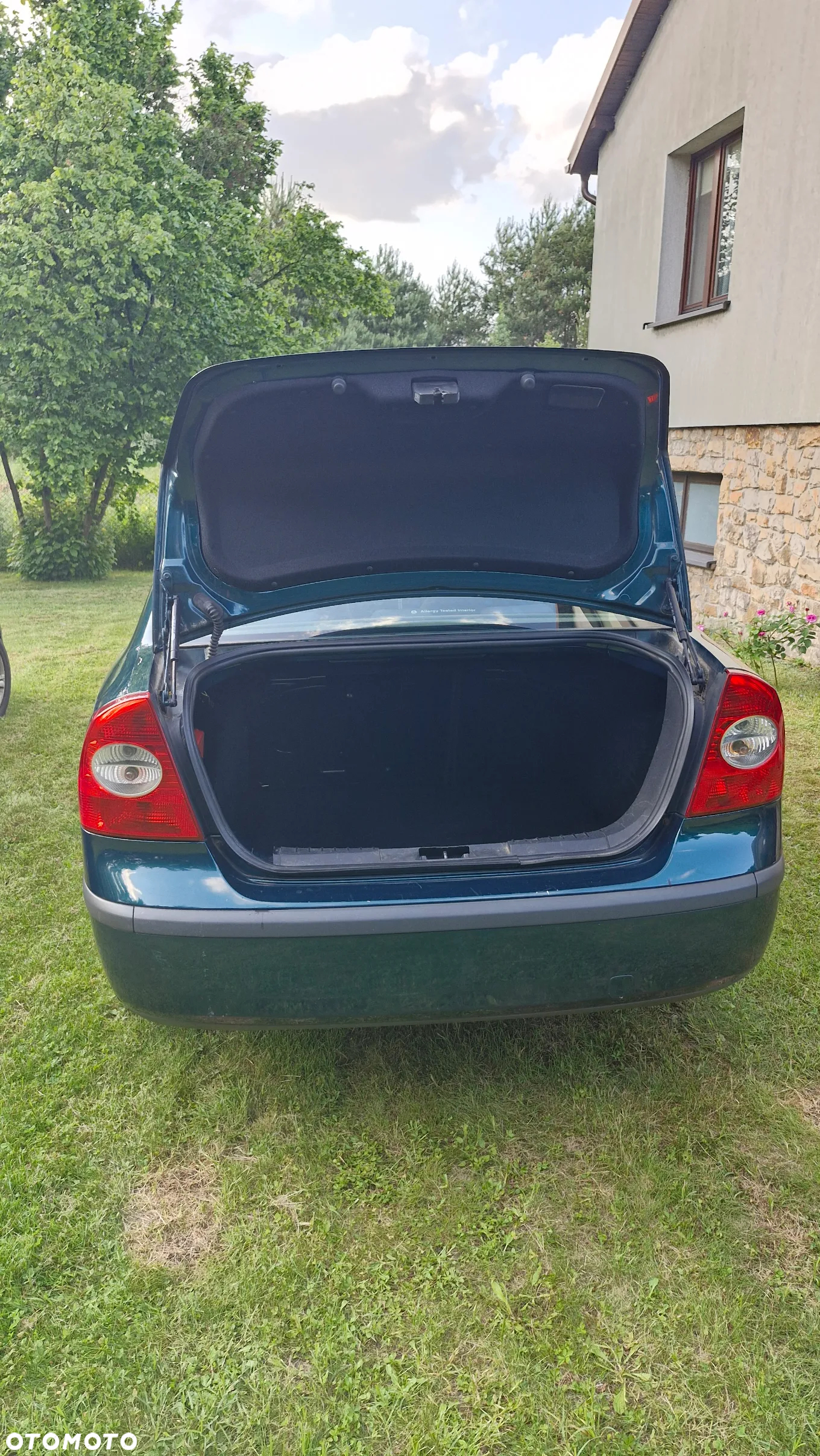 Ford Focus - 5