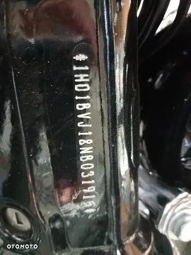 Harley-Davidson Softail Standard - 10