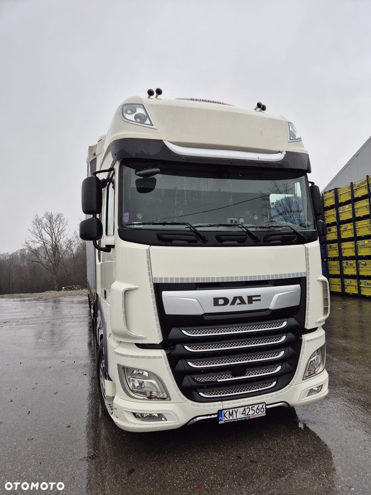DAF XF 480 - 1