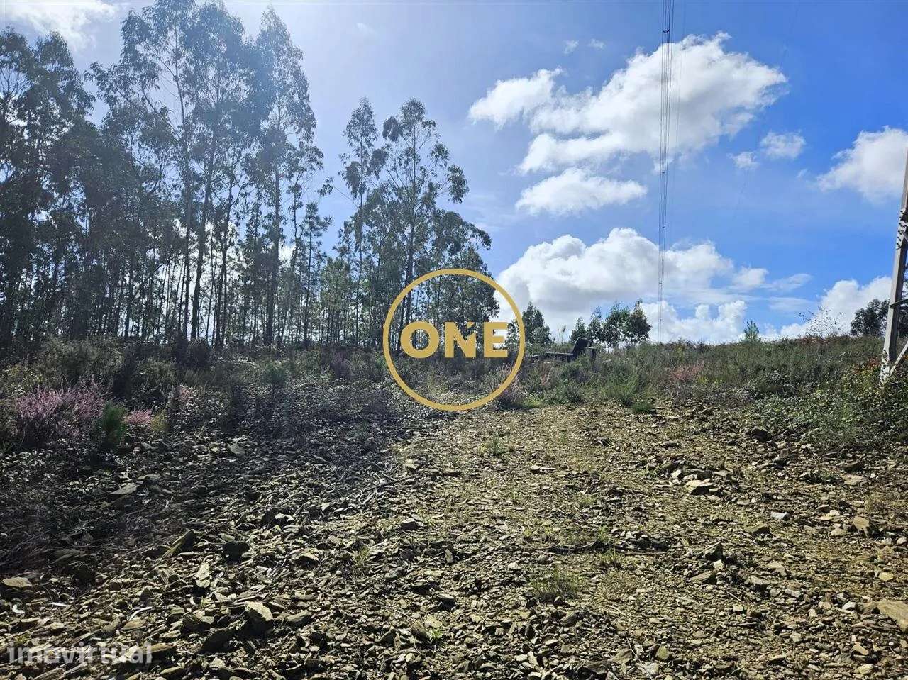 Terreno Florestal com 14.500 m2 em Balazar - Grande imagem: 5/17