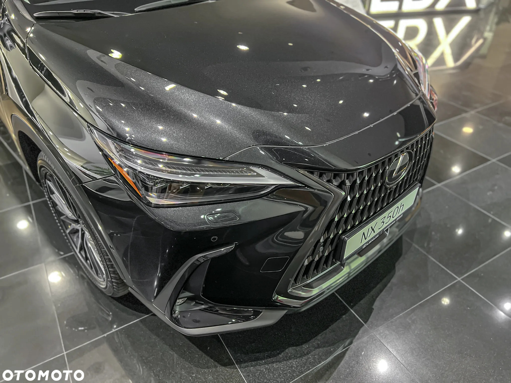Lexus NX - 10