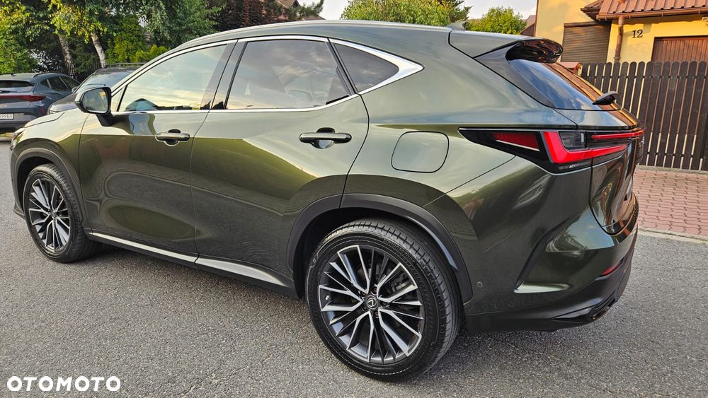 Lexus NX 450h+ Omotenashi AWD - 4