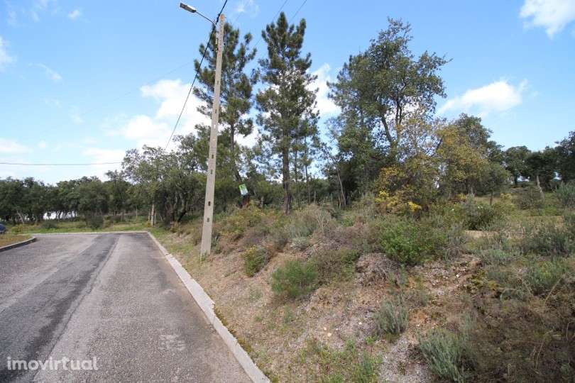 Terreno  Venda em Carregueira,Chamusca - Grande imagem: 3/5