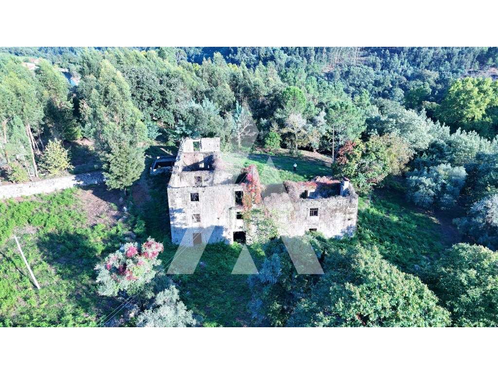Quinta com 24.203 m² e Ruína em Pedra de 404 m² | Santa Maria de Bo... - Grande imagem: 3/29