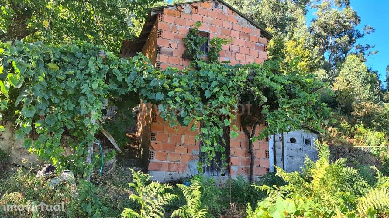 Terreno / Baião, Valadares - Grande imagem: 5/20