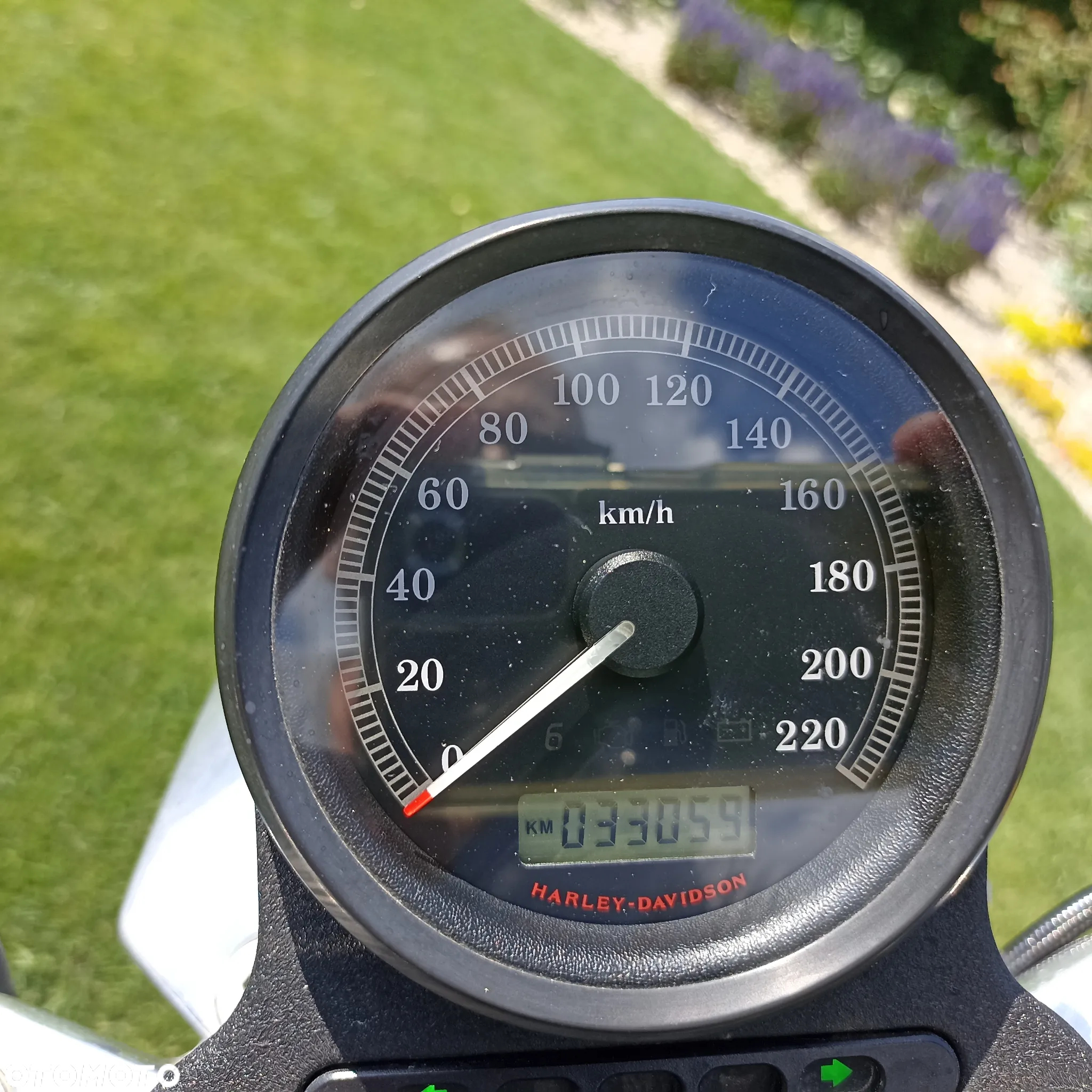 Harley-Davidson Sportster Low 883L - 7