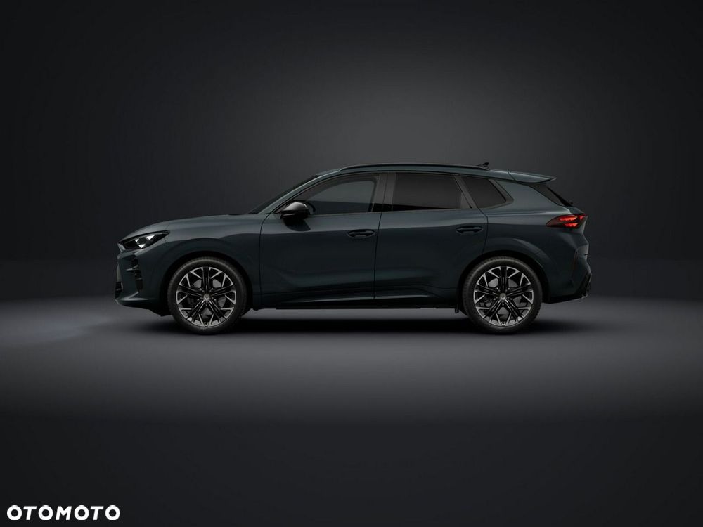 Cupra Terramar - 3