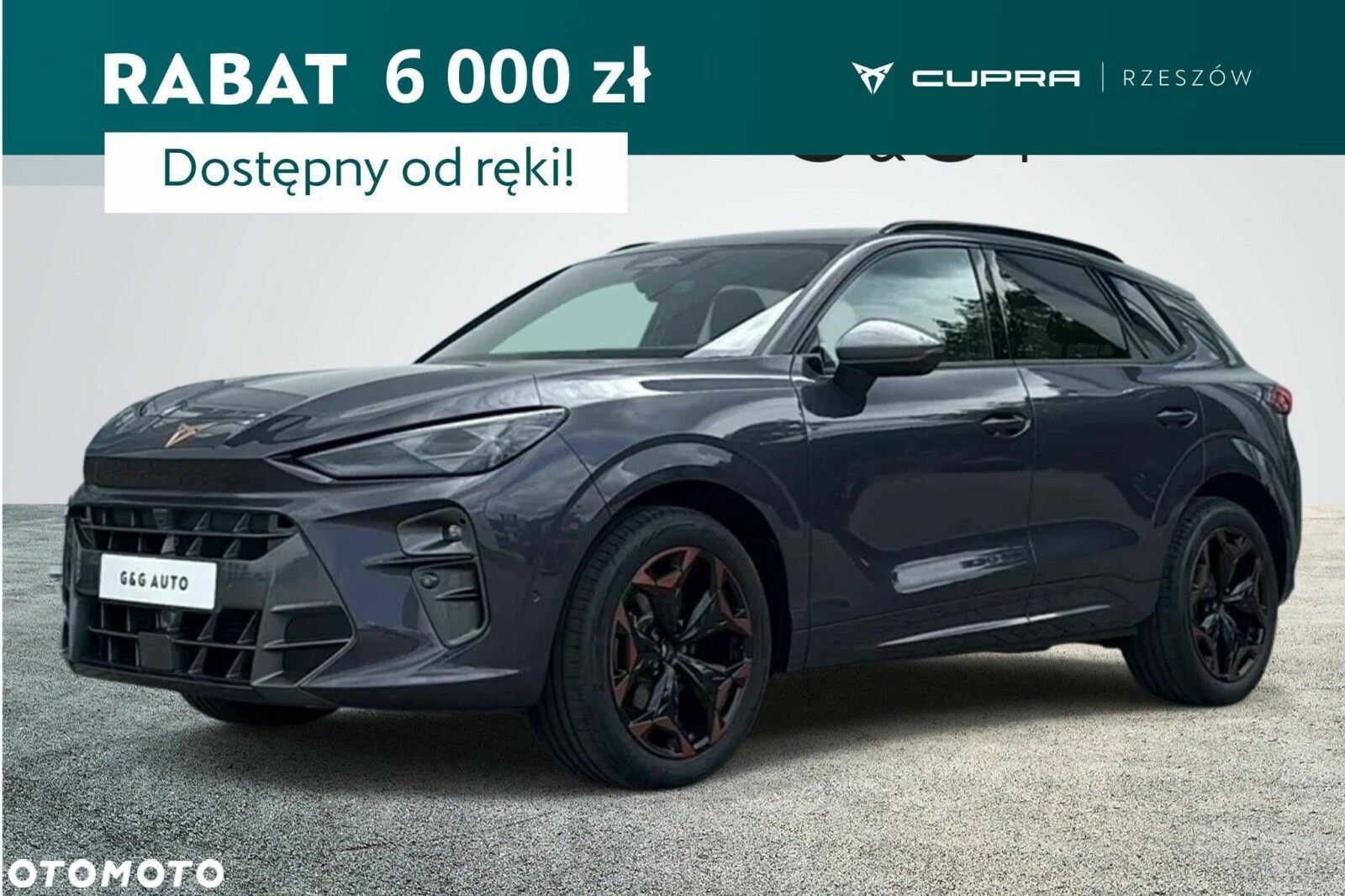 Cupra Terramar - 1
