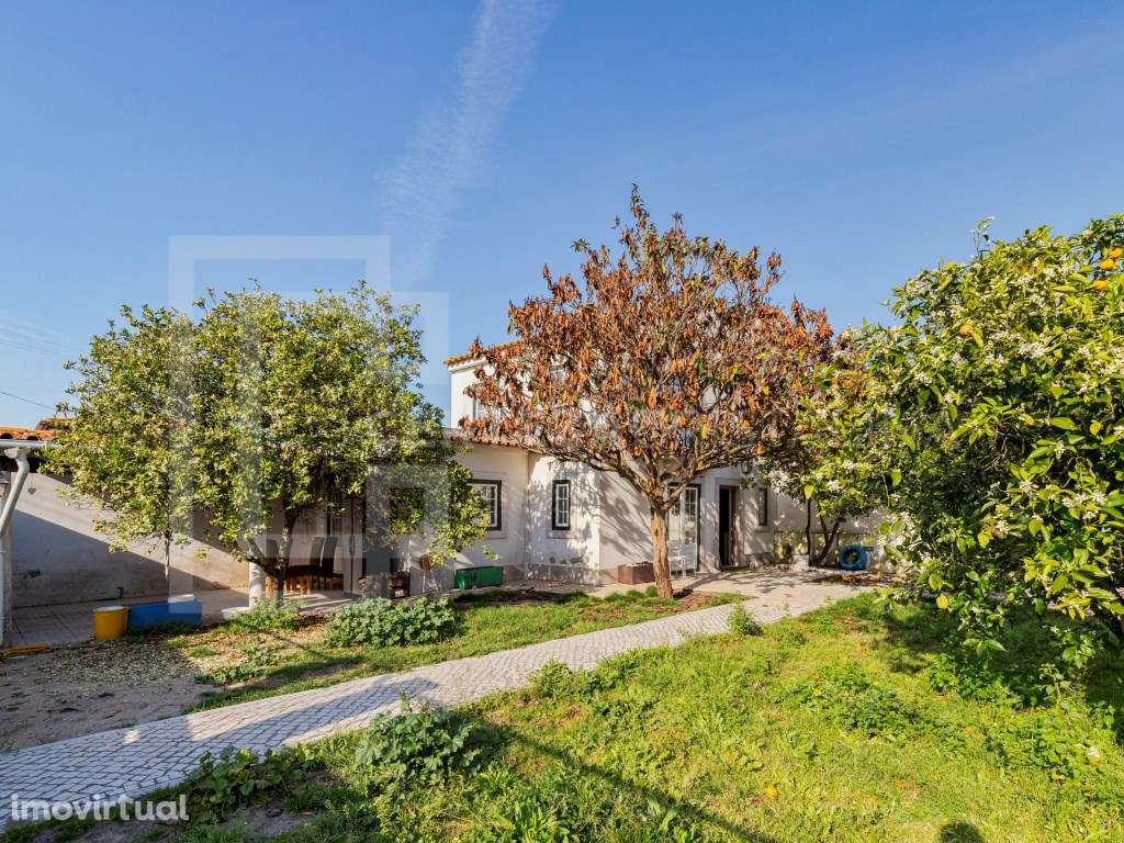 Oportunidade imperdível em Azeitão | Moradia com Jardim e Poço - Grande imagem: 3/25