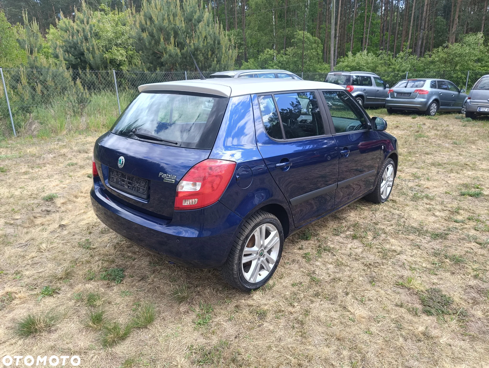Skoda Fabia 1.2 TDI DPF Greenline - 5