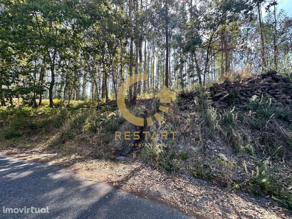 Terreno Rústico para venda em Vila Boa do Bispo, Marco de Canaveses - Grande imagem: 3/29