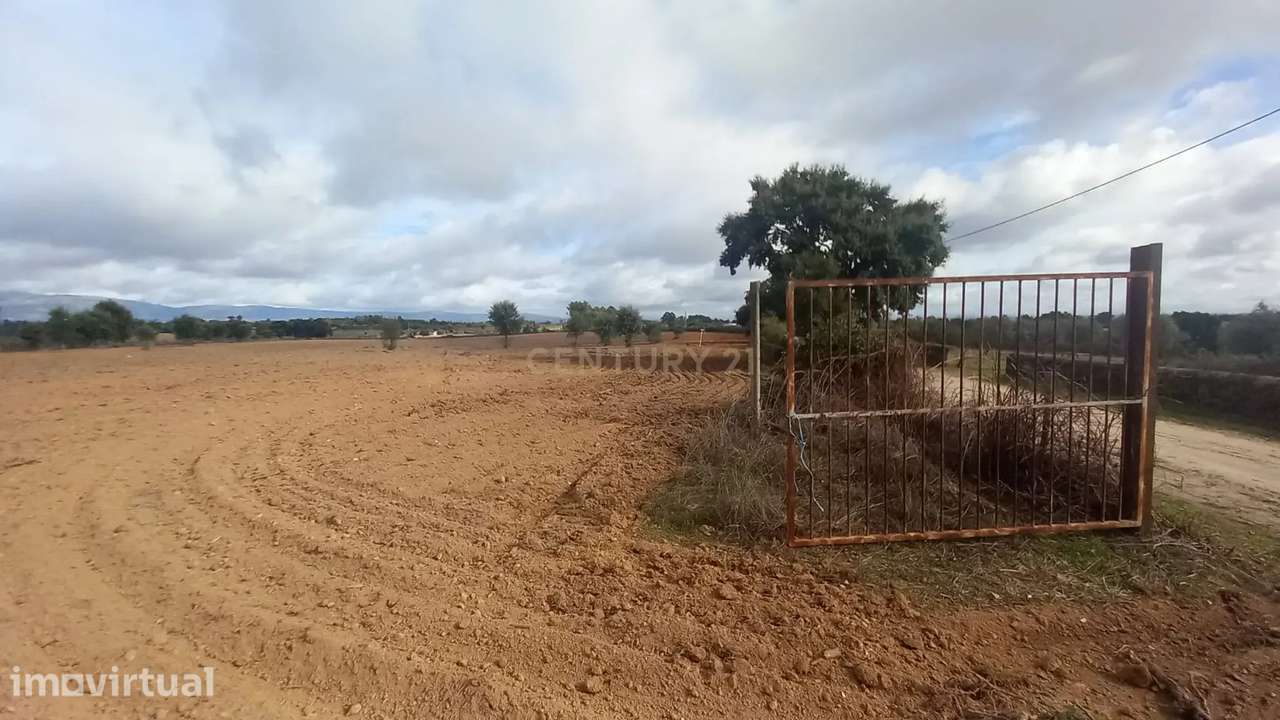 Terreno Rustico com 13500 M2 Lardosa - Grande imagem: 2/13