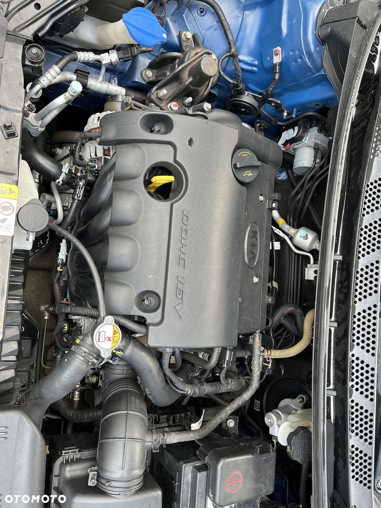 Kia Ceed - 4