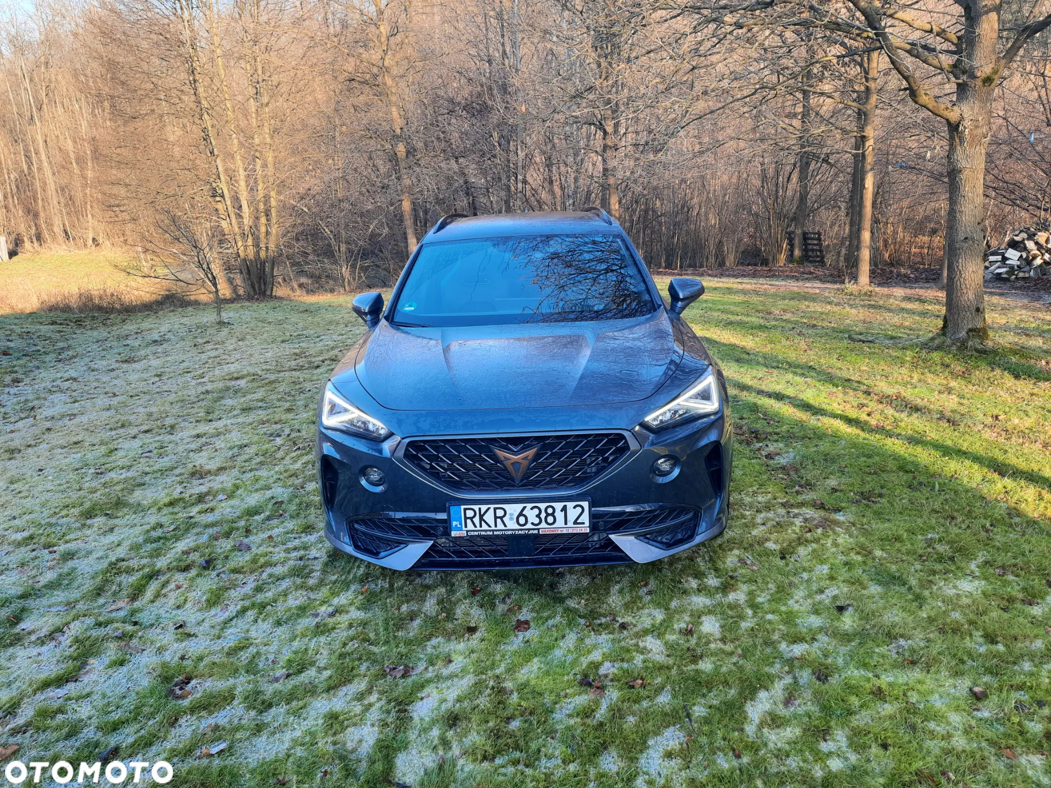 Cupra Formentor VZ 2.0 TSI 4Drive DSG - 3