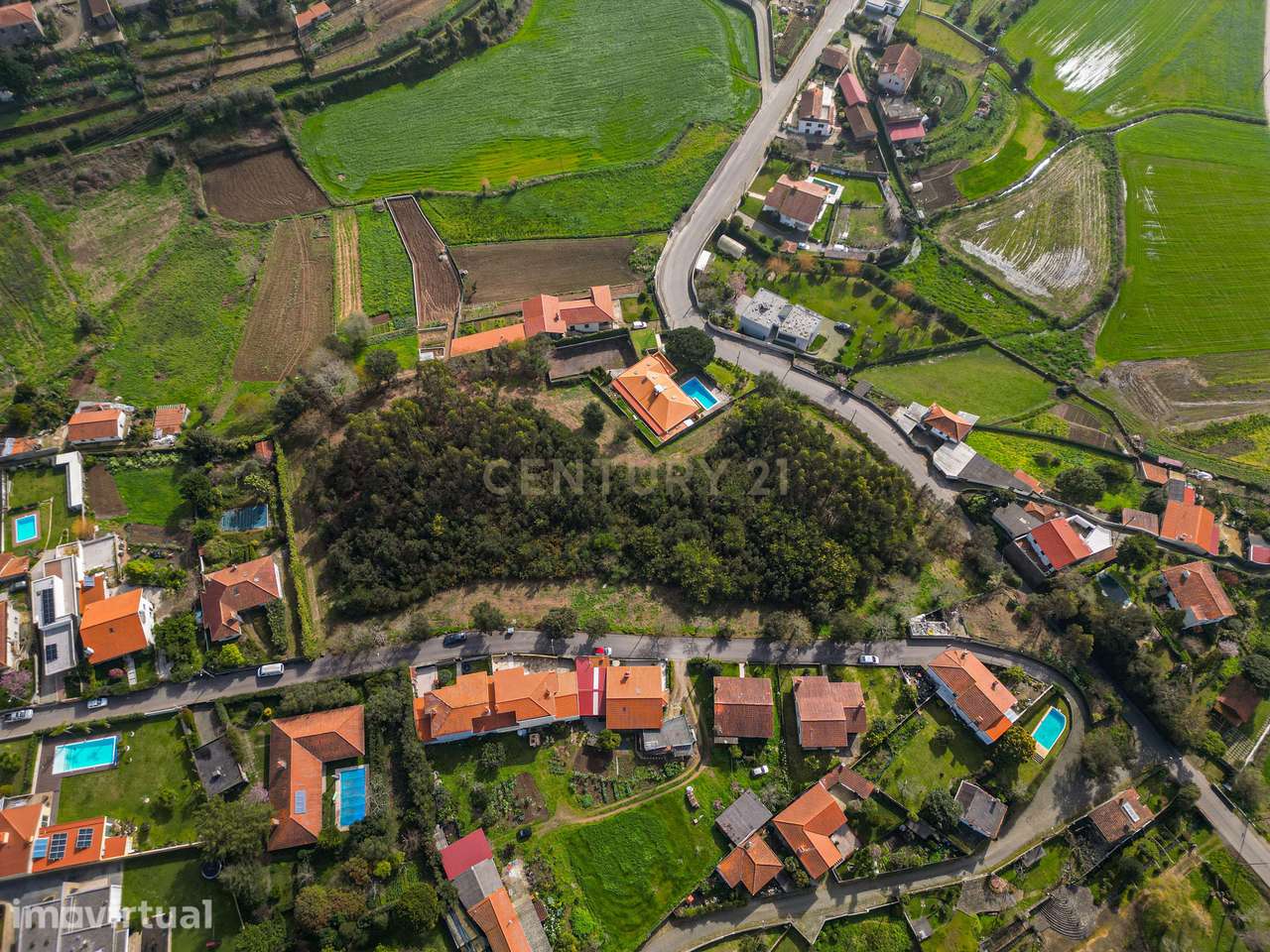 Terreno para Investimento – 10.000m² em Gemeses - Grande imagem: 2/12