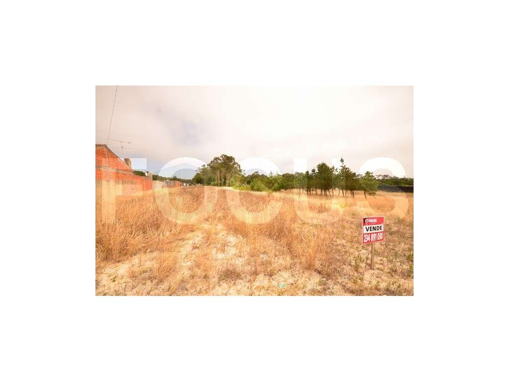 Terreno a pinhal para venda - Grande imagem: 2/6