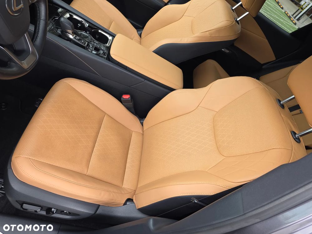 Lexus RX 300 F Sport Edition - 10