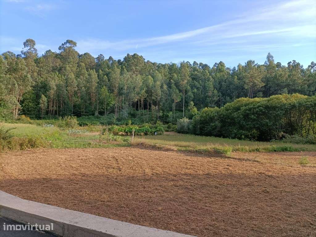 Terreno agrícola em Fornelos - Grande imagem: 4/8