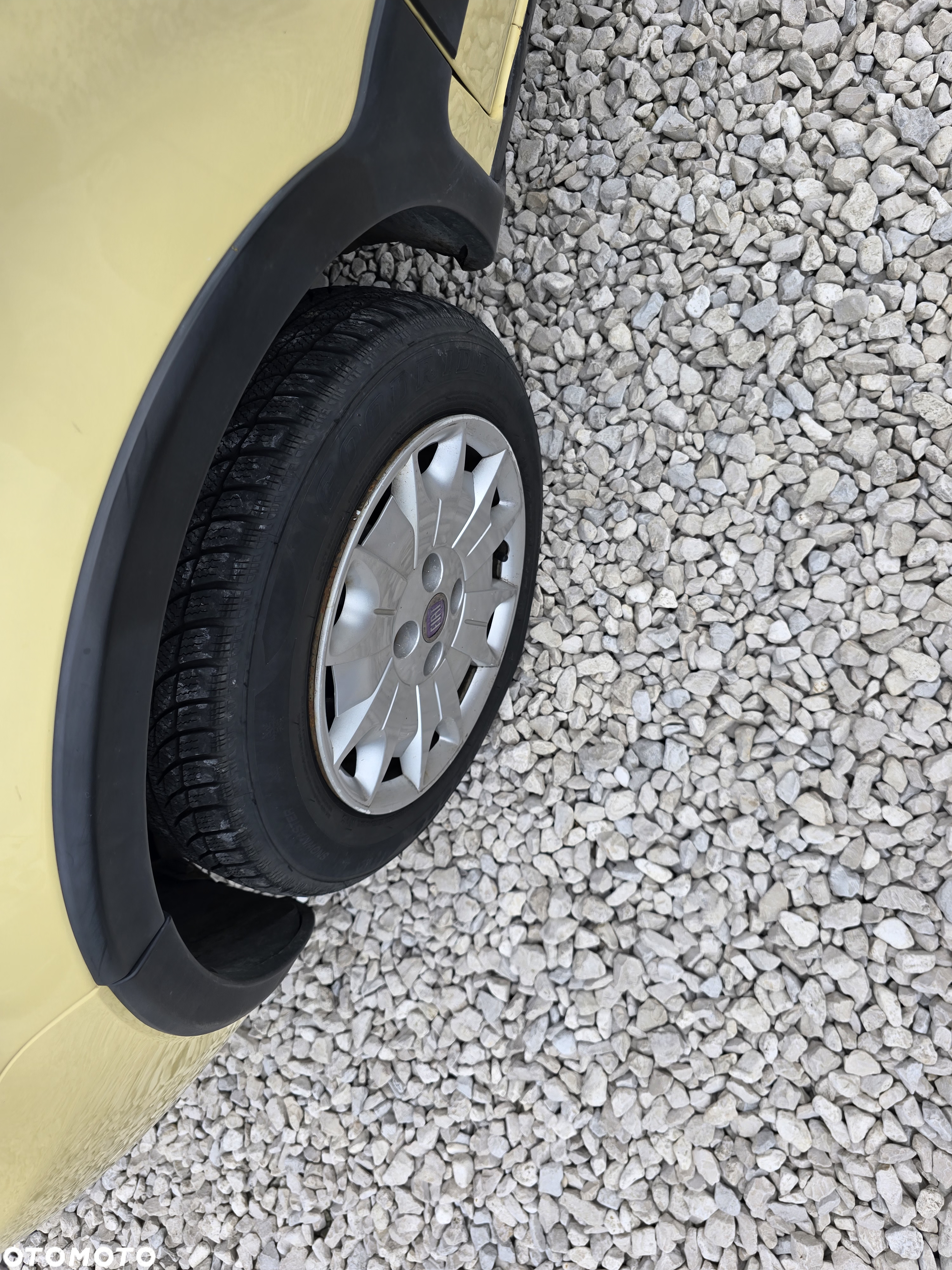 Fiat Panda 1.2 4x4 Fresh - 15