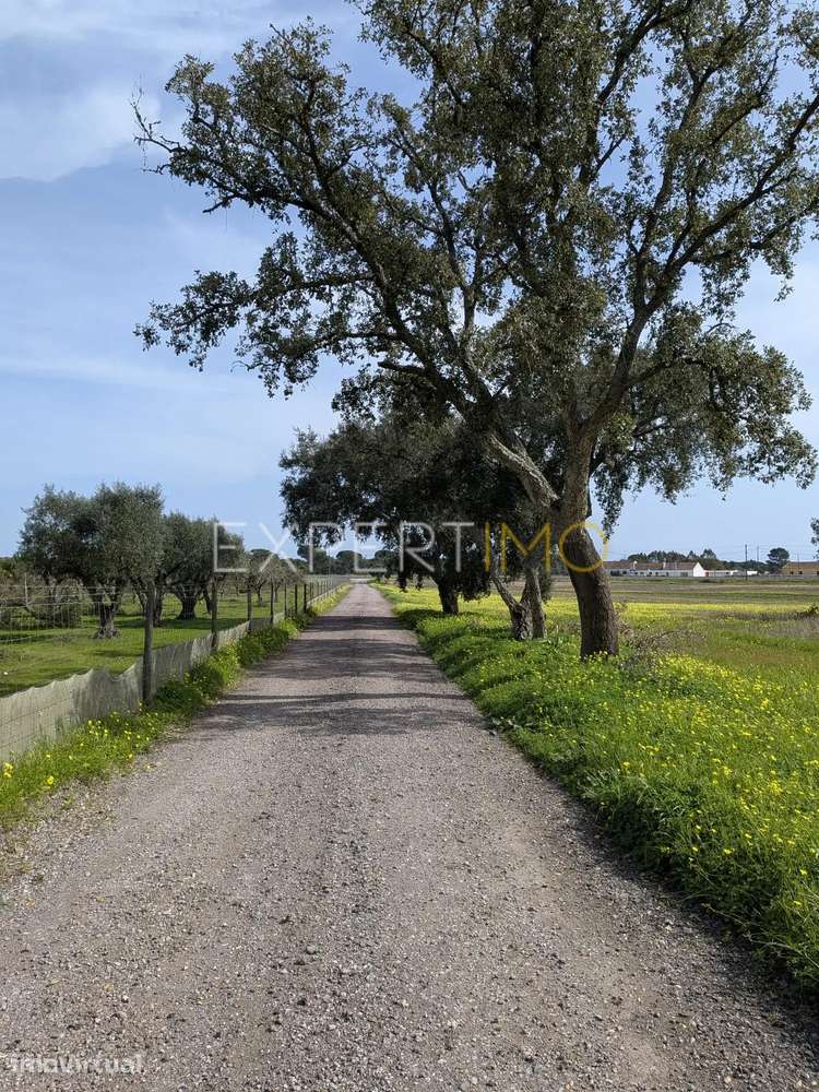 Terreno em zona urbana - Montijo - Grande imagem: 4/12
