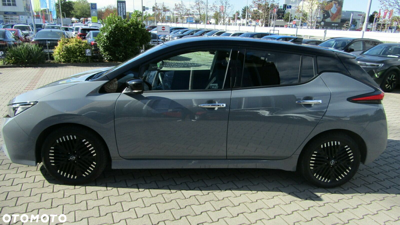 Nissan Leaf - 2