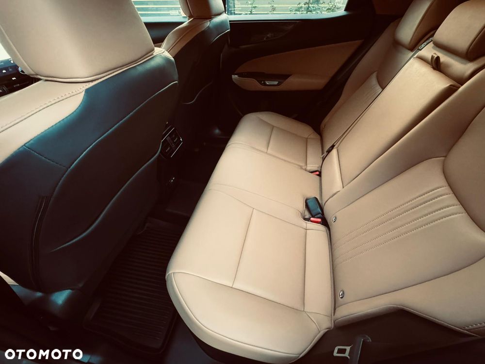 Lexus NX - 24