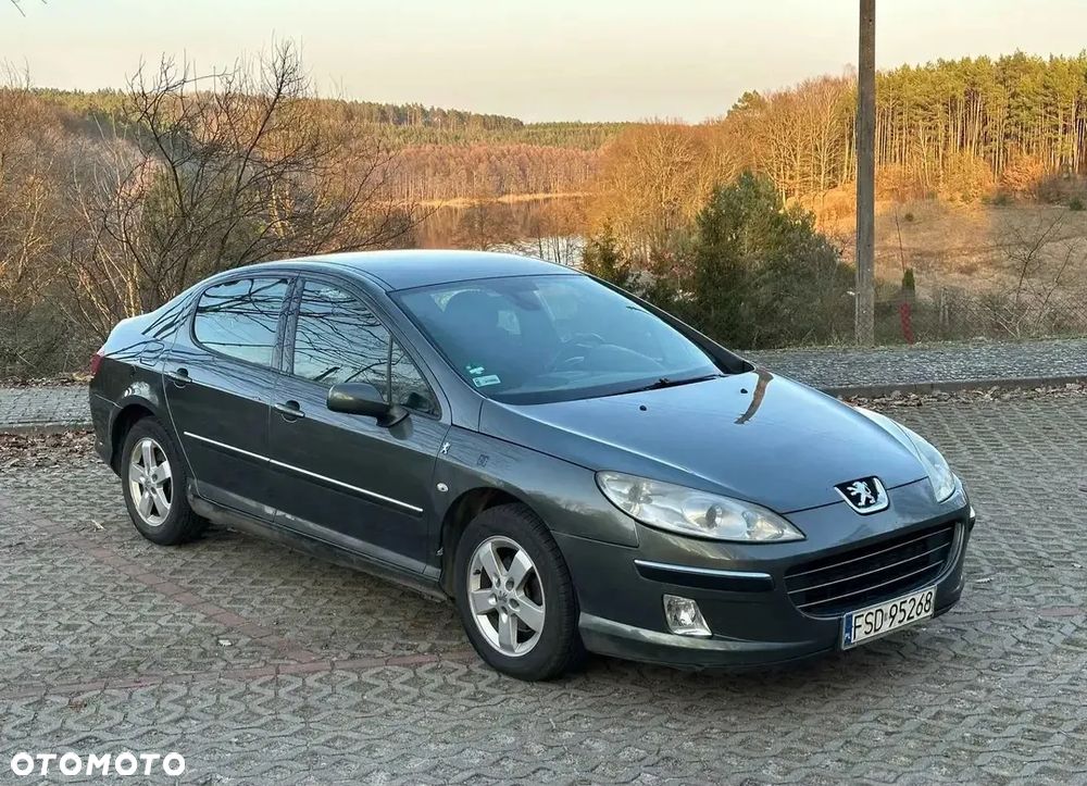 Peugeot 407 2.0 HDi Premium - 7