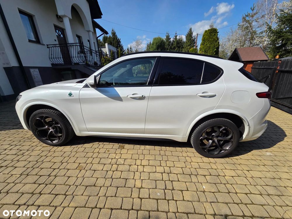 Alfa Romeo Stelvio 2.9 V6 Bi-Turbo Quadrifoglio Niring Q4 - 7