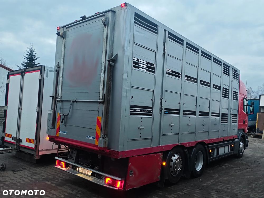 Scania R450 * do żywca * do bydła * świniarka *do trzody - 3