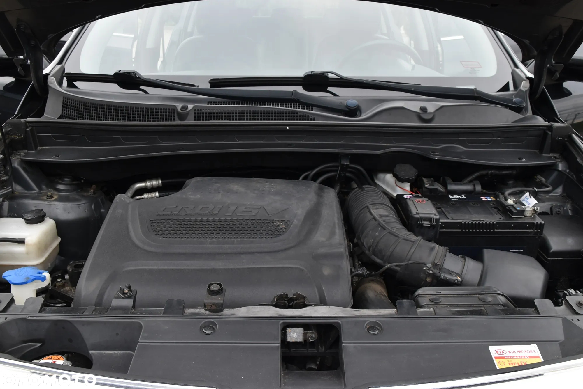 Kia Sportage - 8