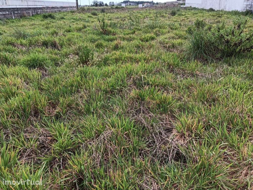 Terreno para construção - Moitinhos - Ílhavo - Grande imagem: 3/9