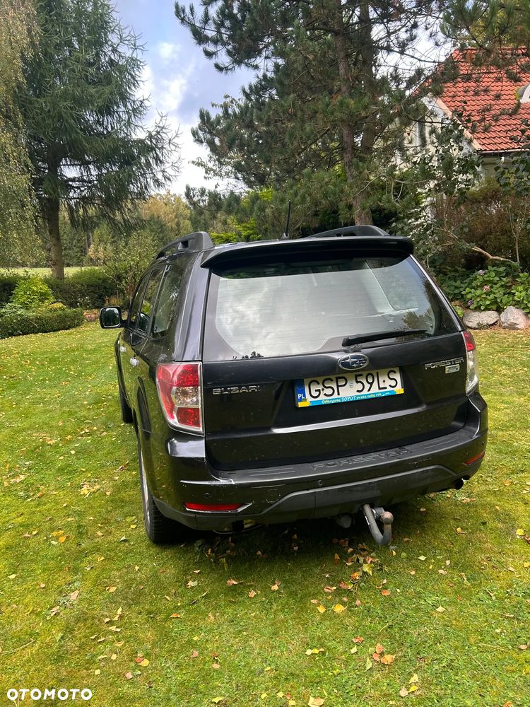 Subaru Forester - 3