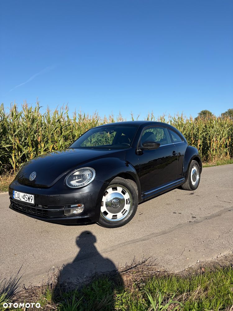 Volkswagen Beetle - 6