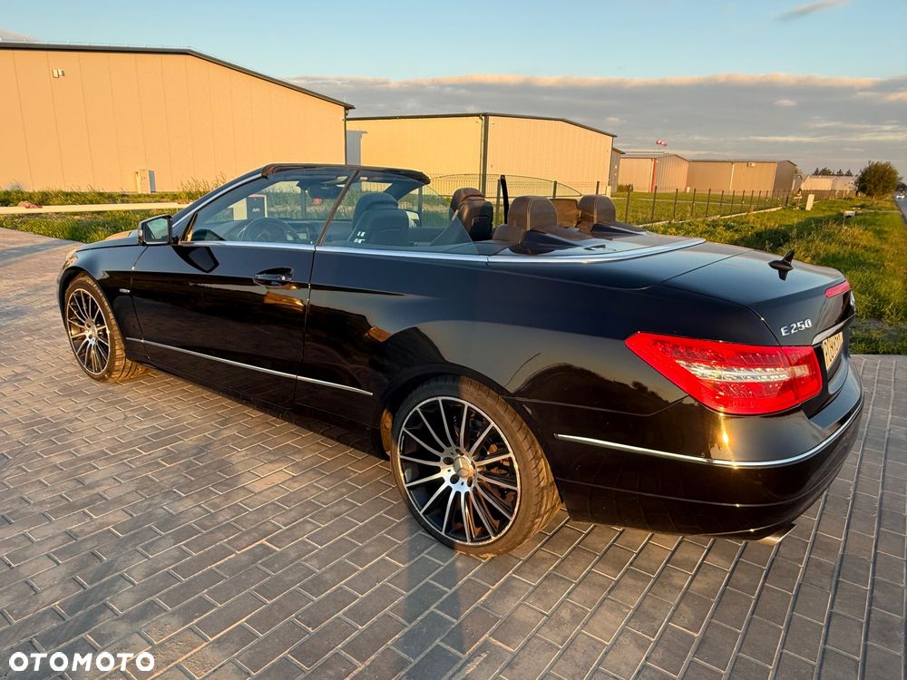 Mercedes-Benz Klasa E ver-250-cdi-blueeff - 18
