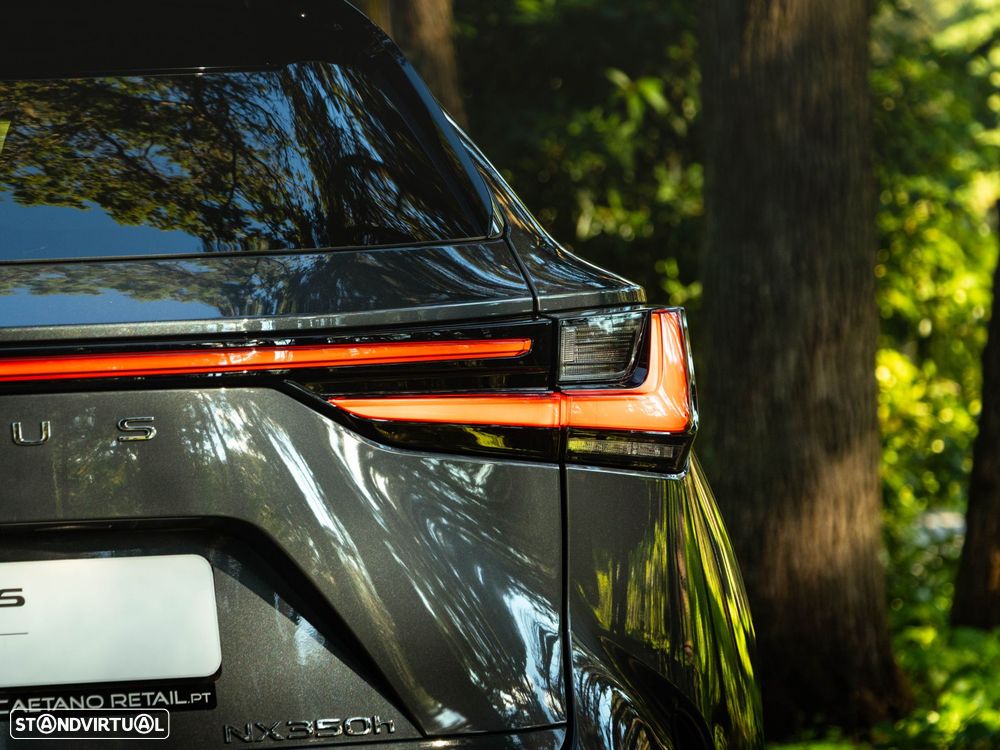Lexus NX 350h Executive+ - 18
