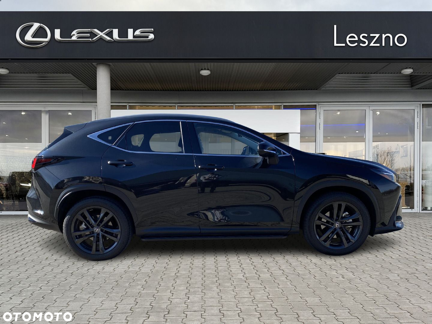 Lexus NX - 10