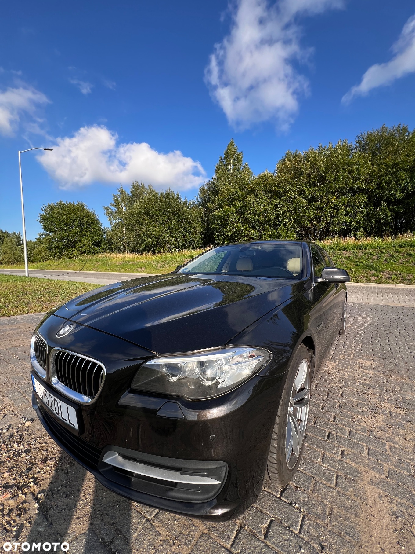 BMW Seria 5 520d Touring - 7