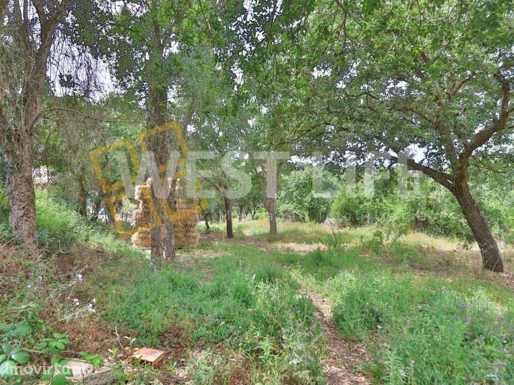 Terreno Rústico/Agroflorestal com 1120m2 - Excelente exposição sola... - Grande imagem: 2/12