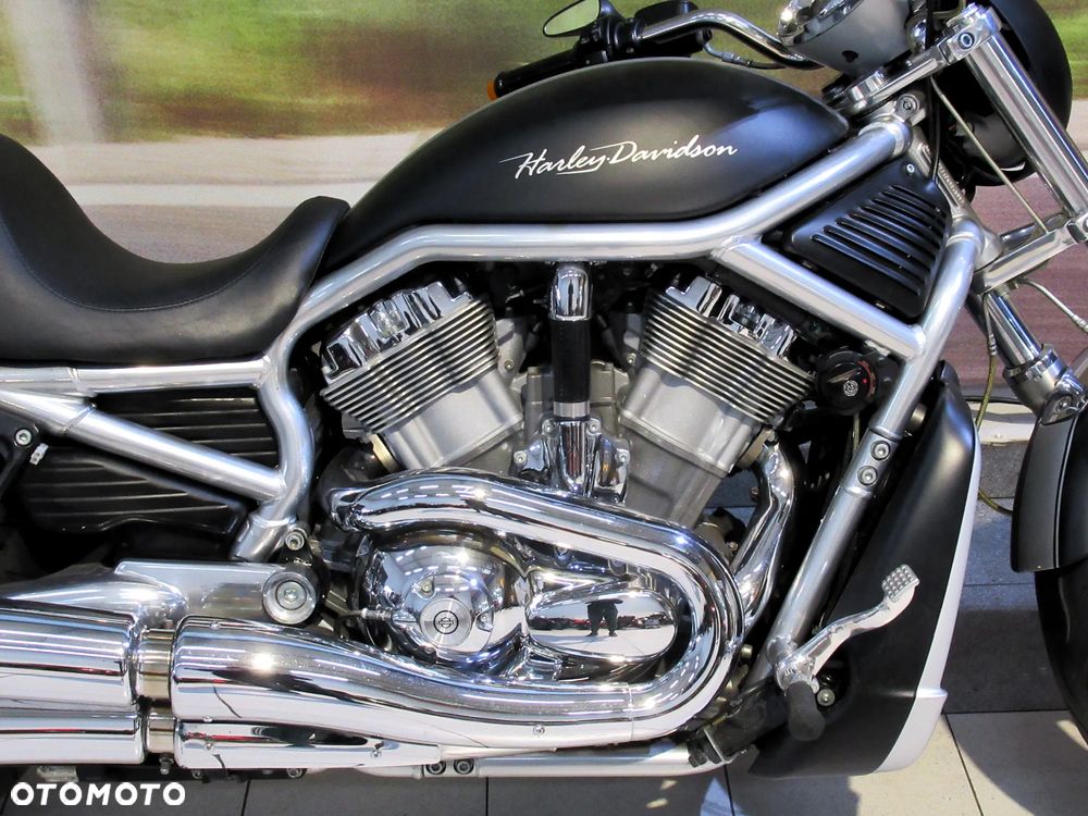Harley-Davidson Softail V-Rod - 14