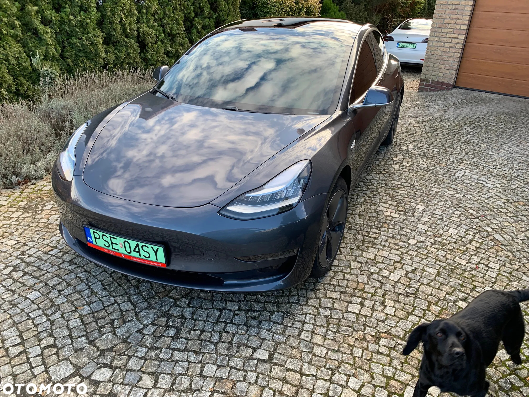 Tesla Model 3 - 2